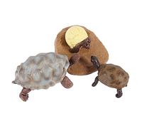 Beaupretty Tortoise Growth Cycle Models Educational Animal Figurines for Cognitive Learning Safe Realistic for Understanding Nature