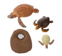 Beaupretty Turtle Growth Cycle Models Educational for Plastic Animal Evolution Figurines with Lifelike Early Learning and Cognitive Development Gift
