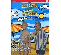 Beauties On The Beach DVD SURF VIDEO