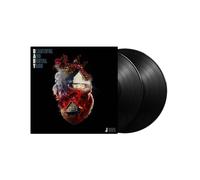 Beautiful And Brutal Yard [VINYL]