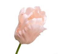 Beautiful Artificial Tulip Flowers Real Touch Feel, 60cm Long, Great for Weddings, Parties, and Home Decor, Silk and Plastic, 1 Stem (B)