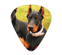 Beautiful Autumn Doberman,12 Pcs Guitar Pick,3 Different Thickness Plectrums for Acoustic Guitar Bass Ukulele (0.46mm 0.96mm 0.71mm)
