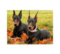 Beautiful Autumn Doberman,500 Pieces Puzzles for Adults-Wooden Jigsaw Puzzle for Adults Elderly