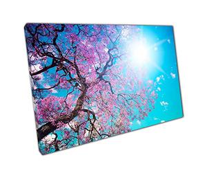 Beautiful Blossom Tree Growing Under The Shining Sun Clear Blue Skies Nature Wall Art Print On Canvas Picture For Home Office Decor 91x61cm (36x24In)