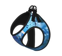 Beautiful Blue Butterfly Print Dog Harness,Pet Leash Vest,Adjustable And Reflective Vest,For Small To Medium Dogs