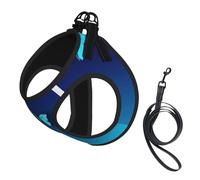 Beautiful Blue Butterfly Print Small Dog Harness And Leash Set, Adjustable Soft Vest With 360° Reflective Straps For Cats Puppy
