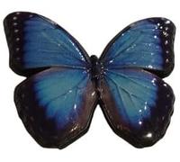 Beautiful Blue Morpho Butterfly Pin Badge