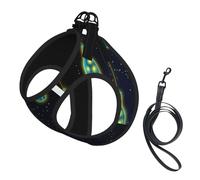 Beautiful Bottle Of Under The Night Sky Print Pet Leash Vest,Breathable Mesh Pet Harness, Reflective For Small Medium Dogs Safe Easy Walking