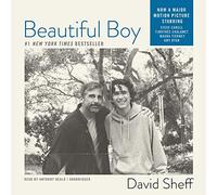 Beautiful Boy: A Father's Journey Through His Son's Meth Addiction