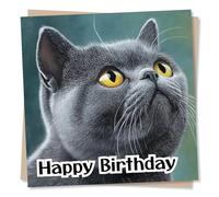 Beautiful British Shorthair Happy Birthday Card For a Loved One - Cat Lover, Cats, Animals - For a Special Someone, Family, Relative, Bestie, Friend, Women, Woman, Female, Men, Man