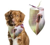 Beautiful Brown And White Guinea Pig Dog Bandanas Puppy Cat Kerchief Scarf Pet Triangle Bandana for Christmas