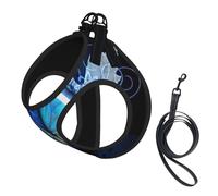 Beautiful Butterfly Print Dog Harness Small Sized And Leash Set, Step In Soft Light Puppy Vest Breathable Mesh Pet Harness