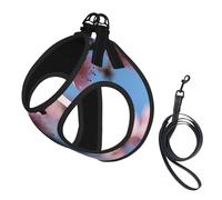 Beautiful Cherry Blossoms Print Small Dog Harness with Leash Set, No Escape Easy Walk Puppy Harnesses for Training Walking