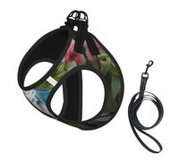 Beautiful Cockatoo Bird Flower print Dog Harness, 2X Buckle,Dog Vest,No Pulling Front Leash Clip,for Small Medium Dogs