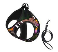Beautiful Colorful Butterflys Print Dog Harness Leash Set Reflective Pet Harness Puppy Vest Suitable Dogs Cats Small Breeds