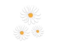 Beautiful Daisy Modelling Car Sticker Modification Personality Car Sticker(White)