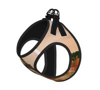 Beautiful Eiffel Tower Paris Print Dog Harness,Pet Leash Vest,Adjustable And Reflective Vest,For Small To Medium Dogs