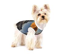 Beautiful Eiffel Tower Paris Print Lightweight Tank Top for Dogs Dog Shirts for Small Dogs Stretchy T Shirts Sleeveless Vest