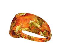 Beautiful Fall Leaves,Sports Sweatband for Unisex Multi Headband Elastic Exercise Hairband