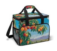 Beautiful Farm Peaches Apricots Camping Cooler Bag Insulated Beach Coolers Portable Leak Proof Bags with Shoulder Strap