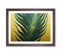 Beautiful Fern Leaf Framed Print | A3 Walnut Framed Wall Art | Ready to Hang | Modern Floral Picture | Living Room Bedroom Lounge Office