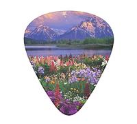 Beautiful Flowers Mountain Guitar Paddle Set Of 12, Suitable For Guitar, Yukri, 3 Thicknesses