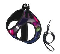 Beautiful Flowers Printing Dog Summer Harness With Leash Set,Adjustable And Reflective Step-In Puppy Pet Vest Harnesses