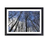 Beautiful Forest Painting Framed Print | A2 Black Framed Wall Art | Ready to Hang | Modern Landscape Picture | Living Room Bedroom Lounge Office