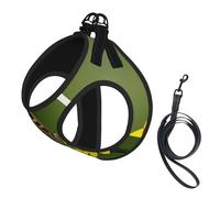 Beautiful Glowing Butterfly 1 Printing Dog Summer Harness With Leash Set,Adjustable And Reflective Step-In Puppy Pet Vest Harnesses