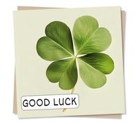 Beautiful Good Luck Card For A Special Person - Four Leaf Clover - Exams, New Job, Moving, Celebration - For a Friend, Parent, Relative, Colleague, Other