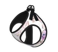 Beautiful Grape Leaves Print Pet Leash Vest,Breathable Mesh Pet Harness, Reflective For Small Medium Dogs Safe Easy Walking