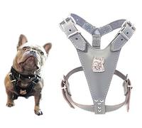 Beautiful Grey Leather Dog Harness Medium Size with French Bulldog Head Motif only for Fully Grown French Bulldogs