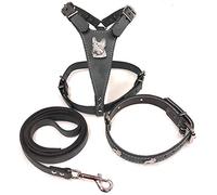 Beautiful Grey Set Leather Dog Harness, Collar and Lead Medium Size with French Bulldog Badges