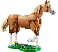 Beautiful Horse