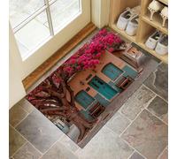 Beautiful House Door Mats Indoor 40 X 60 Cm, Photography Styledurable Interior Doormat, Non Slip Floor Mat Welcome Entrance Doormats Machine Washable Low Profile Doormat Mixed Colors
