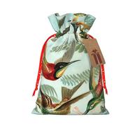Beautiful Hummingbirds Printing Drawstring Christmas Bag With Kraft Tag 4.7x6.9 Inch For Halloween Wrapping Gifts