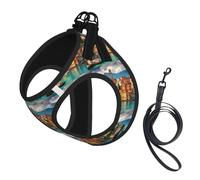 Beautiful Italy Print Reflective Pet Leash Vest For Small Dogs & Cats, Adjustable Outdoor Walking Hiking Vest
