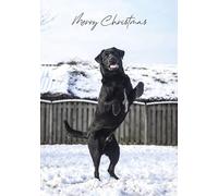Beautiful Labrador in the Snow Pack of 5 Merry Christmas Greeting Cards 125mm x 178mm - Including Envelopes - GC678PCK5