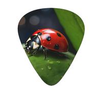 Beautiful Ladybug1 print Celluloid Guitar Plectrums for Acoustic Guitar Bass,Guitar Picks with Organizer Box
