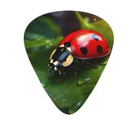 Beautiful Ladybug3 print Celluloid Guitar Plectrums for Acoustic Guitar Bass,Guitar Picks with Organizer Box