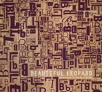 Beautiful Leopard - Sometimes It Doesnt Work