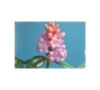 Beautiful little flower Printed Placemat Set | 6-Piece 12x18-Inch Tablemats | Protects Tabletops from Heat
