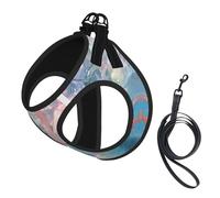 Beautiful Mermaid Print Small Dog Harness with Leash Set, No Escape Easy Walk Puppy Harnesses for Training Walking