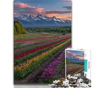 Beautiful Mountain River 1000 Piece Jigsaw Puzzle for Adults And Teenagers,Educational Games Home Decoration Deal As Gifts for The Whole Family (75x50cm)