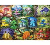 Beautiful Mushrooms