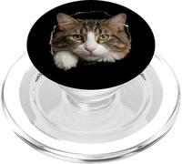 Beautiful Norwegian Forest Cat green eyes Peeking Through PopSockets PopGrip for MagSafe