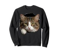 Beautiful Norwegian Forest Cat green eyes Peeking Through Sweatshirt