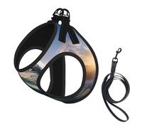 Beautiful Ocean Waves Print Small Dog Harness with Leash Set, No Escape Easy Walk Puppy Harnesses for Training Walking