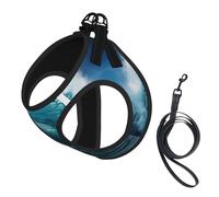 Beautiful Ocean Waves Print Small Dog Harness with Leash Set, No Escape Easy Walk Puppy Harnesses for Training Walking