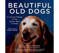 Beautiful Old Dogs: A Loving Tribute to Our Senior Best Friends